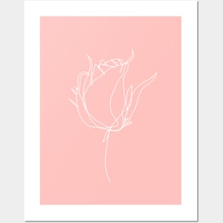 Pink Petal Flower Posters and Art